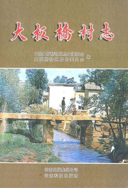 《《大板桥村志》》.pdf电子版_云南省志缩略图