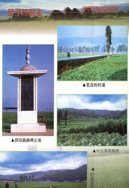《回子村志》.pdf电子版_云南省志预览图2