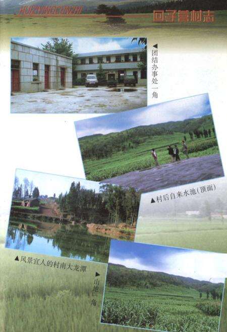 《回子村志》.pdf电子版_云南省志预览图3