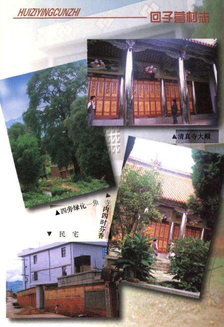 《回子村志》.pdf电子版_云南省志预览图5