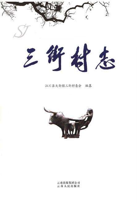 《《三街村志》》.pdf电子版_云南省志预览图1
