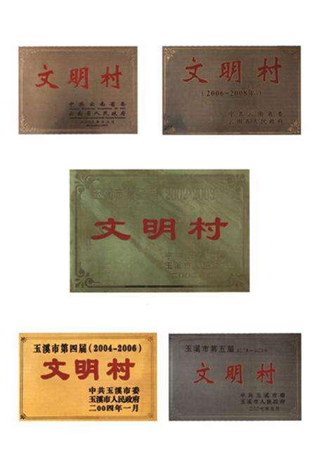 《《三街村志》》.pdf电子版_云南省志预览图5