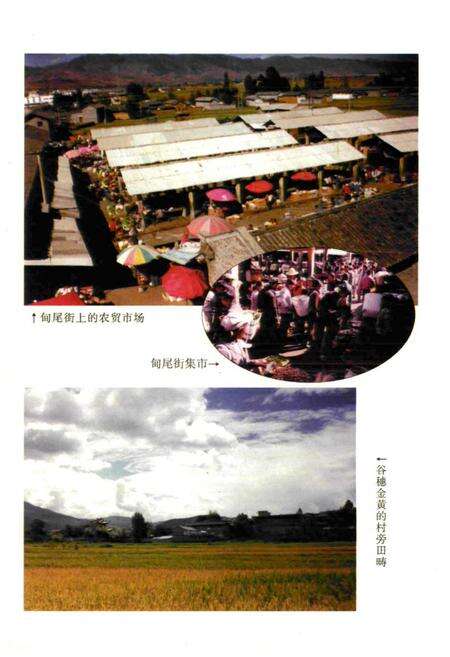 《《天马村志》》.pdf电子版_云南省志预览图5