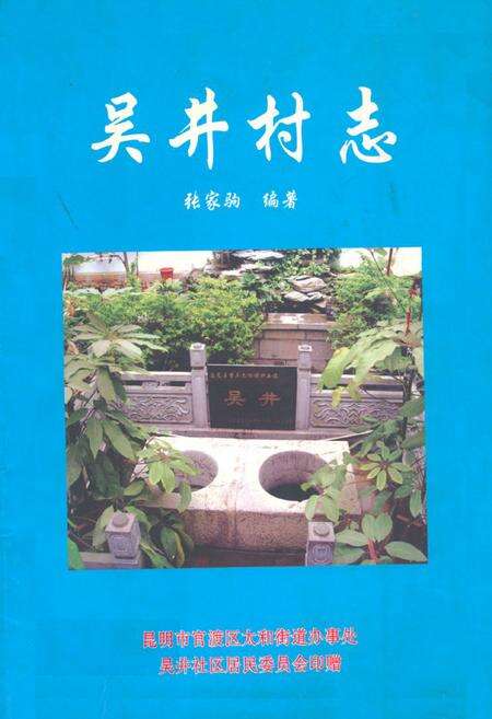 《吴井村志》.pdf电子版_云南省志缩略图