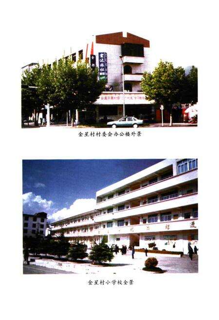 《金星村志》.pdf电子版_云南省志预览图4