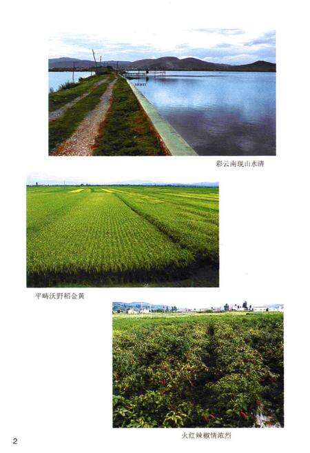 《大波那村志》.pdf电子版_云南省志预览图5