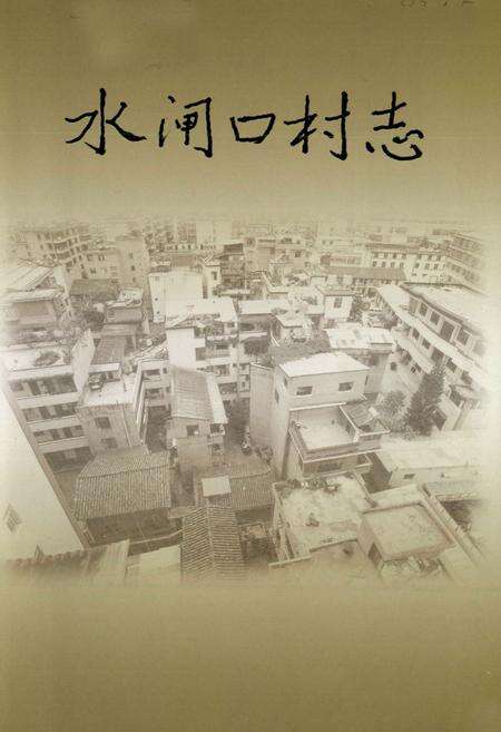 《水闸口村志》.pdf电子版_云南省志预览图1