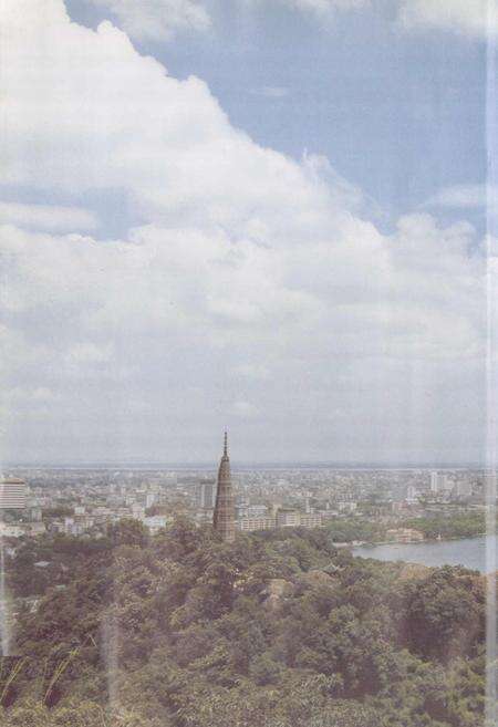 《浙江省烟草志》.pdf电子版_浙江省志预览图3