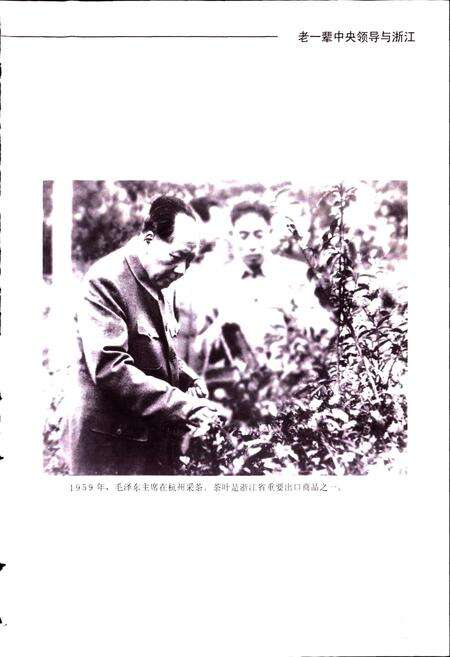 《浙江省外经贸志》.pdf电子版_浙江省志预览图3