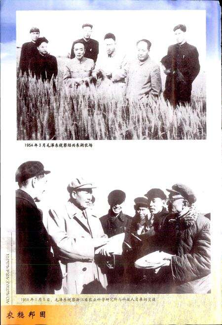 《浙江省农业志 上册》.pdf电子版_浙江省志预览图4