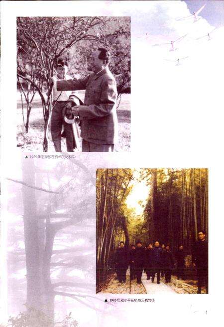 《浙江省林业志》.pdf电子版_浙江省志预览图3