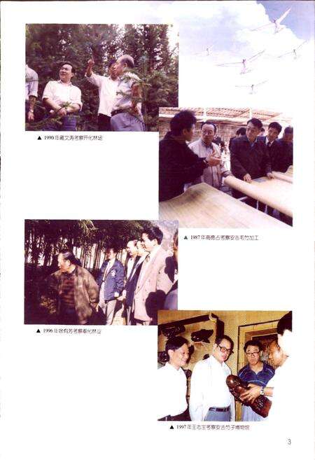 《浙江省林业志》.pdf电子版_浙江省志预览图5