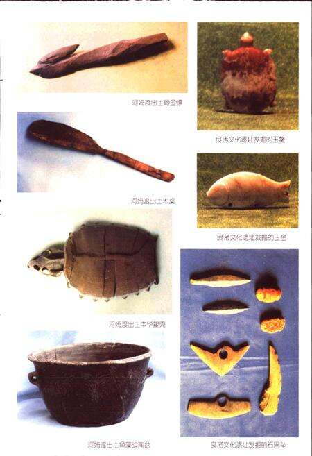 《浙江省水产志》.pdf电子版_浙江省志预览图5