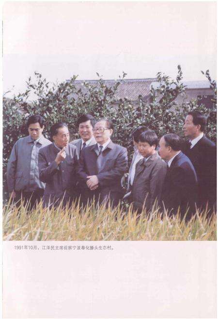 《浙江省环境保护志》.pdf电子版_浙江省志预览图4