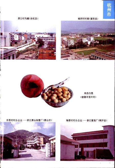 《浙江省名村志（上）》.pdf电子版_浙江省志预览图5