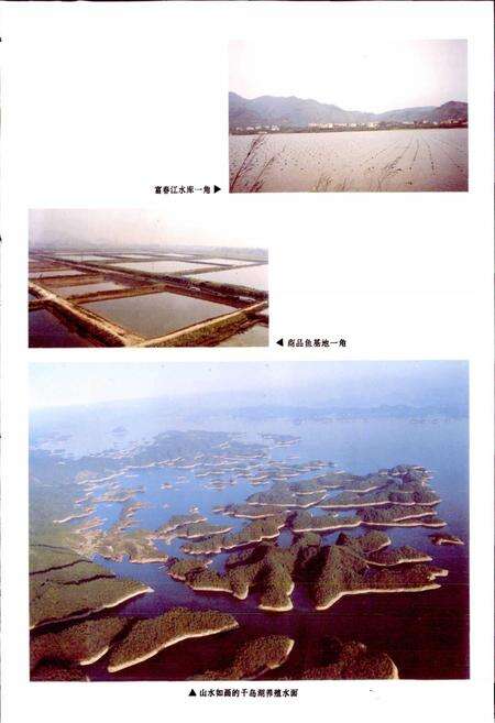 《杭州水产志》.pdf电子版_浙江省志预览图5