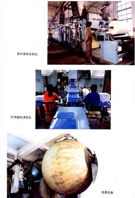 《杭州新华造纸厂志》.pdf电子版_浙江省志预览图5