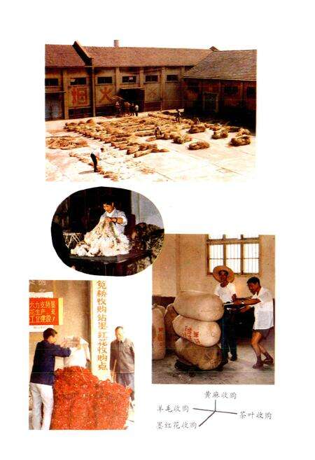 《江干区供销合作社志》.pdf电子版_浙江省志预览图5