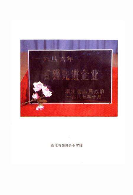 《杭州制笔总厂志》.pdf电子版_浙江省志预览图3