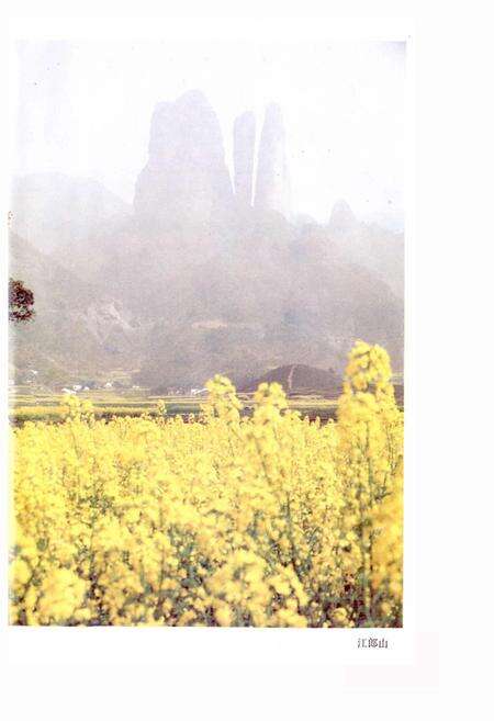 《江山市志》.pdf电子版_浙江省志预览图4