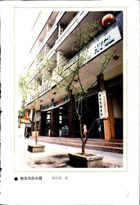 《淳安县粮食志》.pdf电子版_浙江省志预览图4