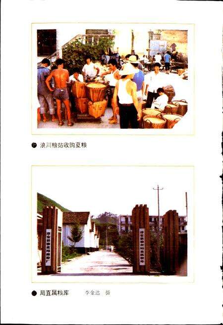 《淳安县粮食志》.pdf电子版_浙江省志预览图5