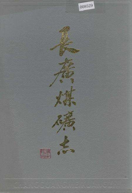 《长广煤矿志》.pdf电子版_浙江省志缩略图