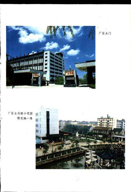 《嘉丝联志》.pdf电子版_浙江省志预览图4