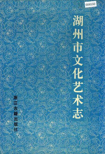 《湖州市文化艺术志》.pdf电子版_浙江省志缩略图