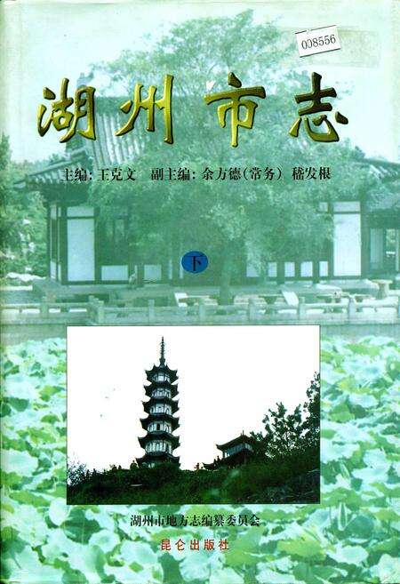 《湖州市志 下》.pdf电子版_浙江省志缩略图