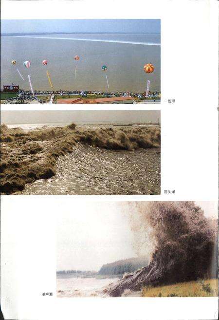 《萧山围垦志》.pdf电子版_浙江省志预览图5