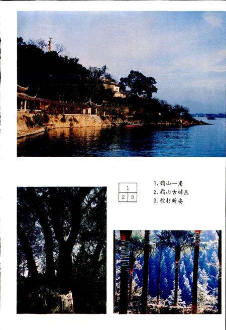 《富阳县林业志》.pdf电子版_浙江省志预览图3