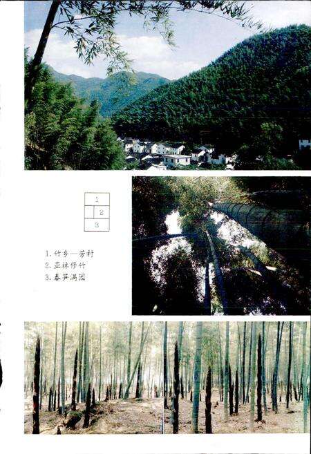 《富阳县林业志》.pdf电子版_浙江省志预览图5