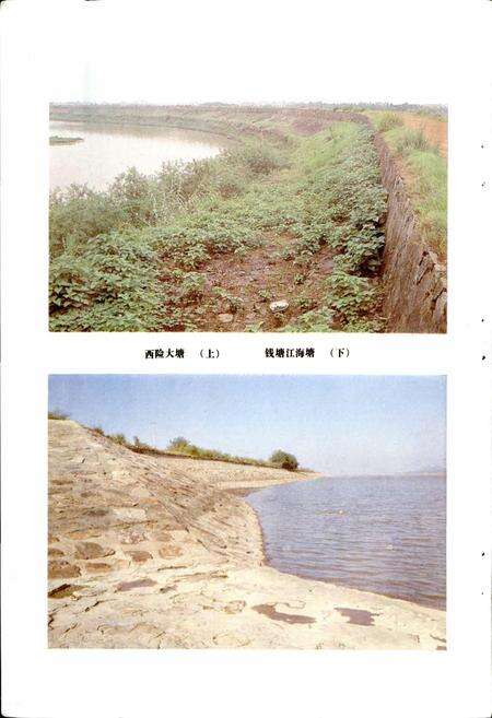 《余杭县水利志》.pdf电子版_浙江省志预览图3