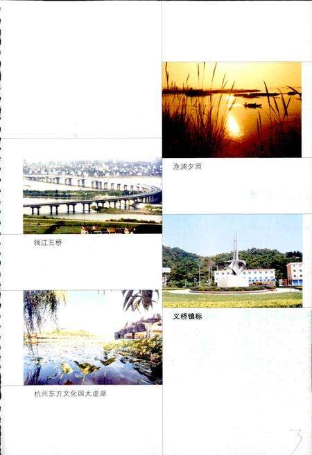 《杭州市萧山区义桥实验学校校志》.pdf电子版_浙江省志预览图5