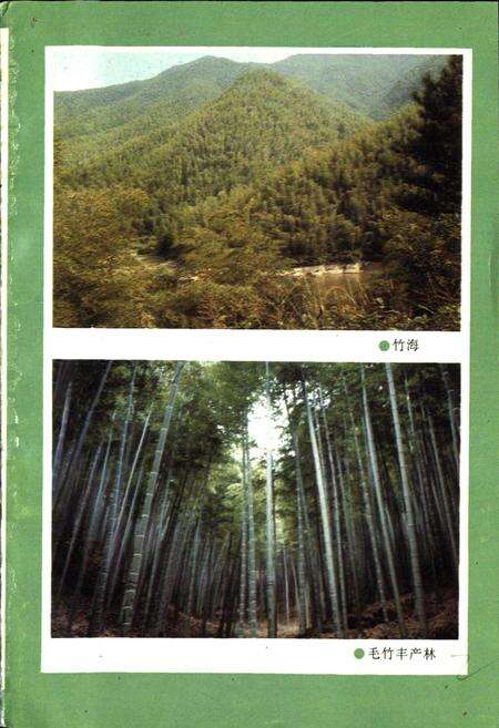 《湖州市林业志》.pdf电子版_浙江省志预览图3