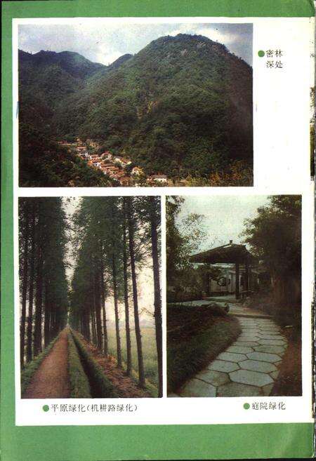 《湖州市林业志》.pdf电子版_浙江省志预览图4