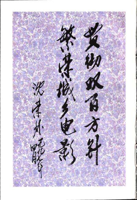 《湖州市电影志》.pdf电子版_浙江省志预览图3