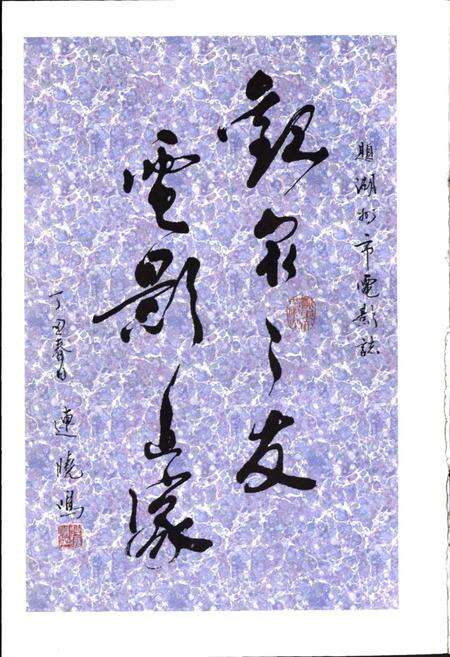 《湖州市电影志》.pdf电子版_浙江省志预览图5