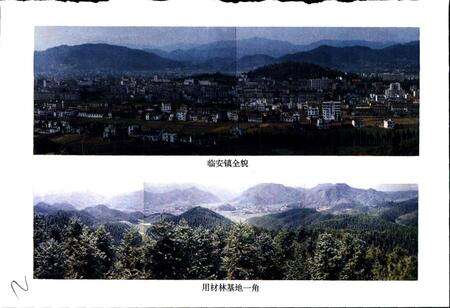 《临安林业志》.pdf电子版_浙江省志预览图3