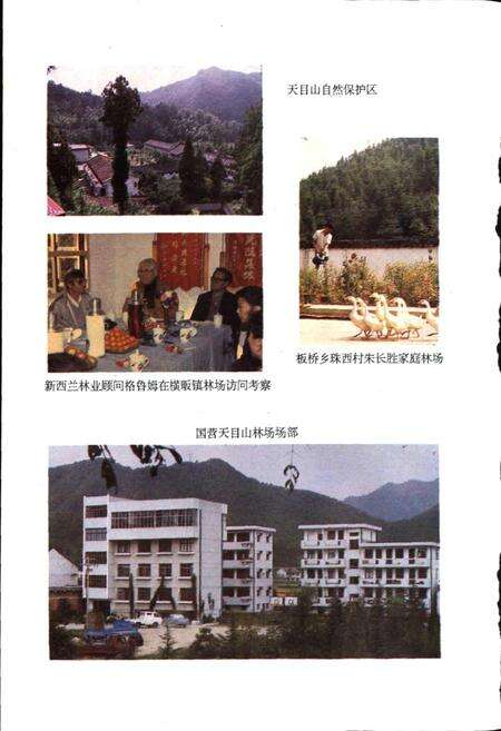 《临安林业志》.pdf电子版_浙江省志预览图4