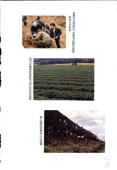 《临安林业志》.pdf电子版_浙江省志预览图5