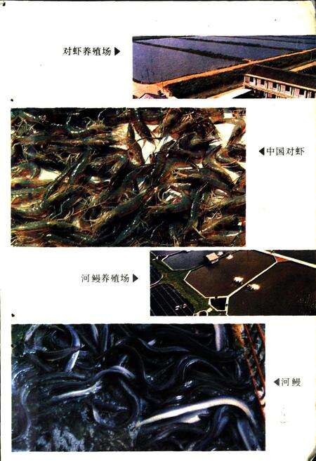 《嘉兴市水产志》.pdf电子版_浙江省志预览图4