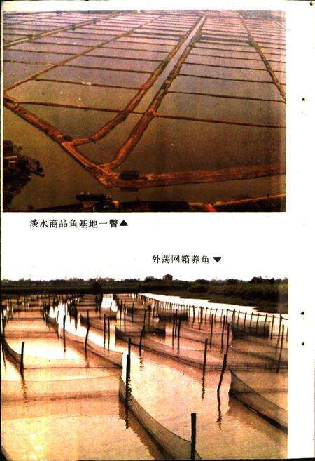 《嘉兴市水产志》.pdf电子版_浙江省志预览图5