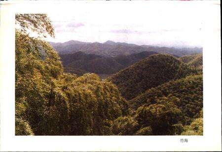 《安吉林业志》.pdf电子版_浙江省志预览图2