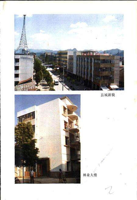 《安吉林业志》.pdf电子版_浙江省志预览图3