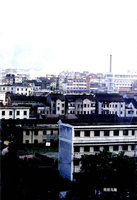 《衙前镇志》.pdf电子版_浙江省志预览图3