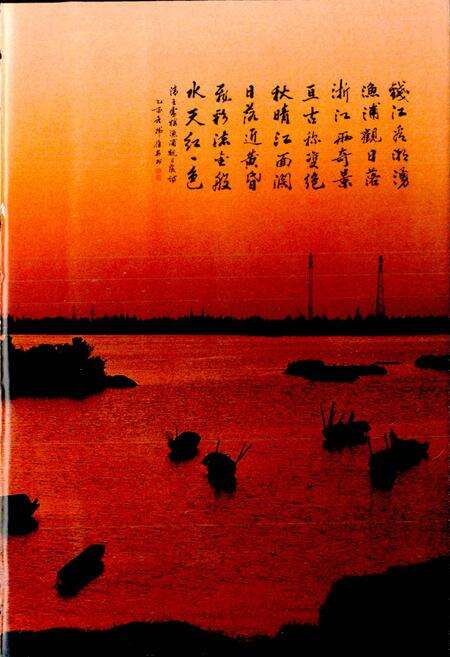 《义桥镇志》.pdf电子版_浙江省志预览图5