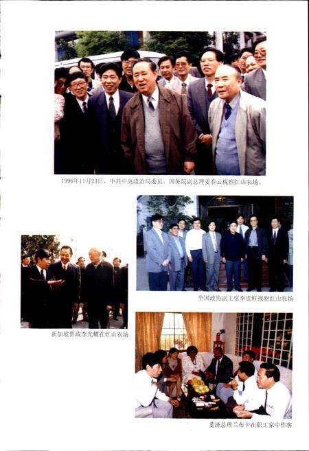 《红山农场志》.pdf电子版_浙江省志预览图5