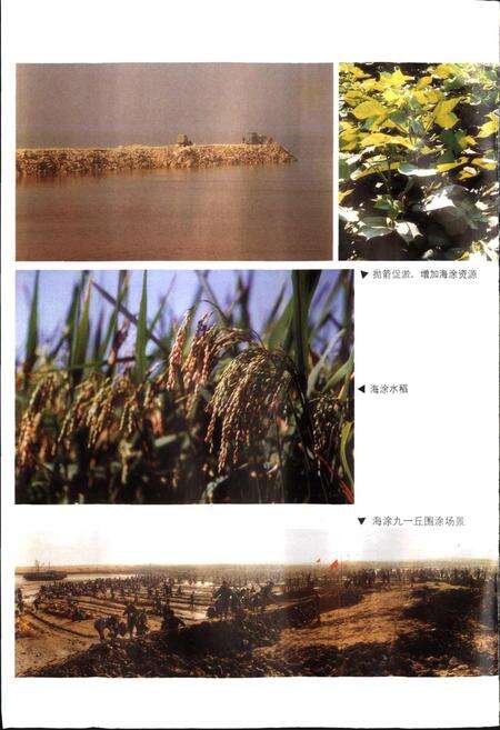 《上虞市土地志》.pdf电子版_浙江省志预览图5